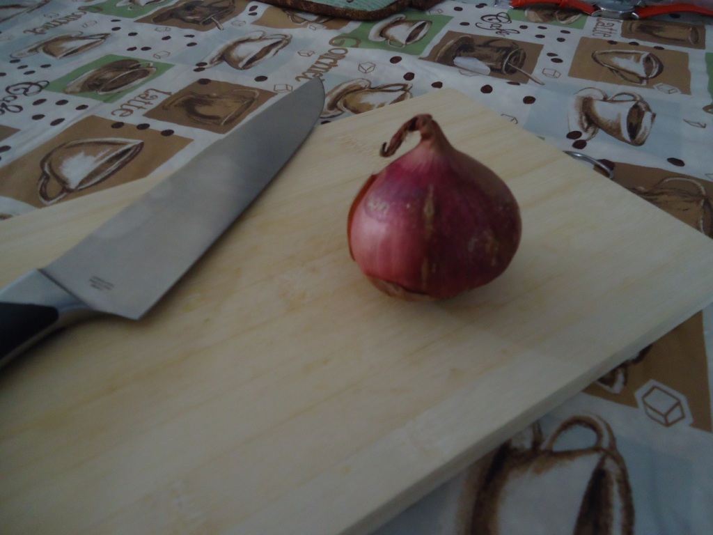 How to Slice and Dice an Onion like a Pro 1